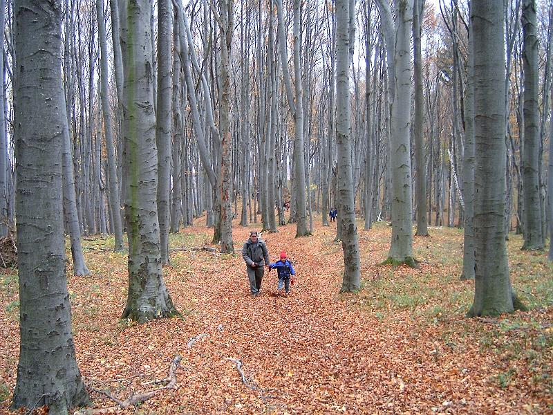 20101023 037.jpg
